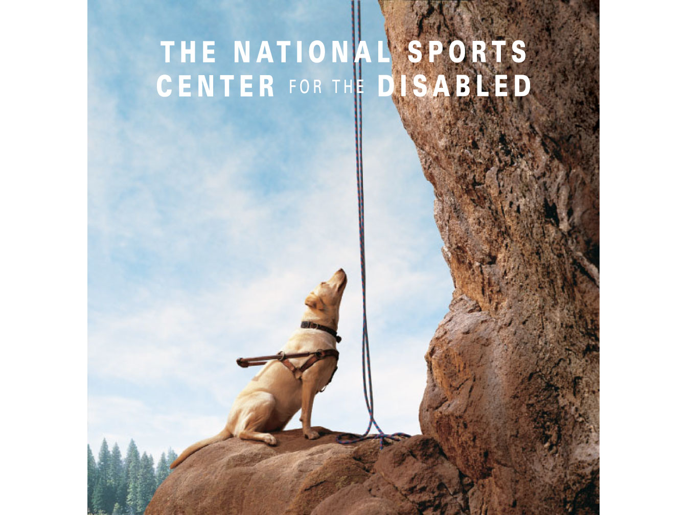 National Sports Center for the Disabled dog ad