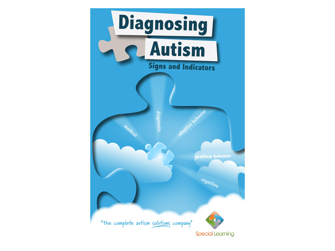 Diagnosing Autism Book Cover Design
