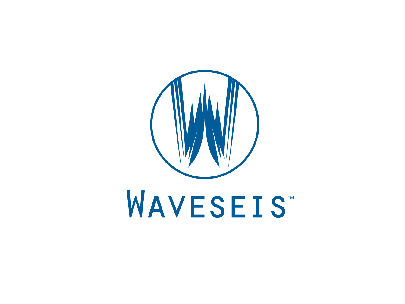 Waveseis Logo